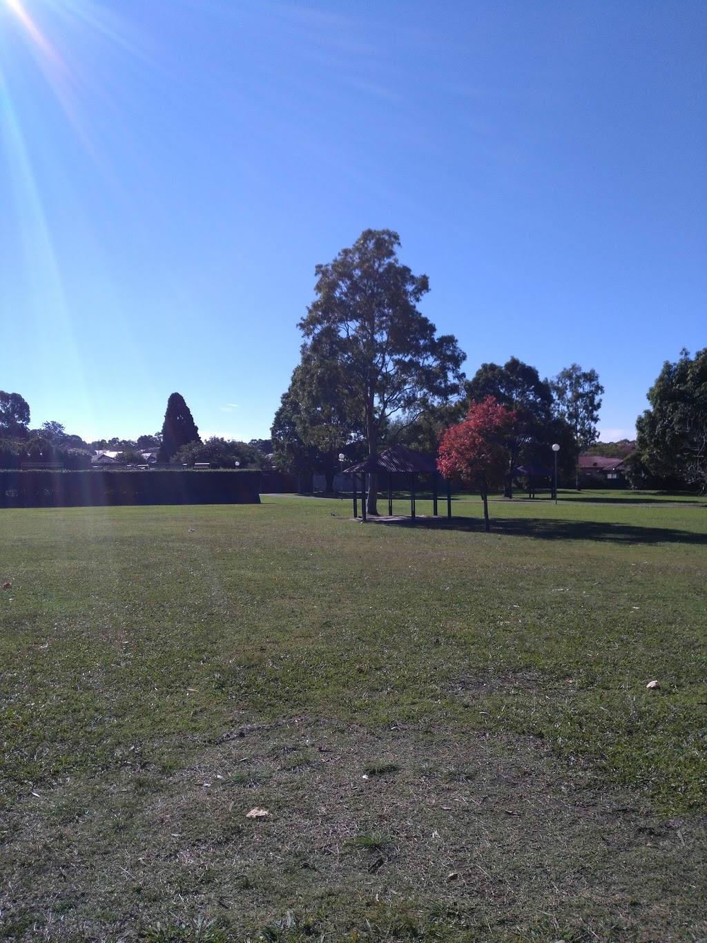 Central Park | park | 96/98 Wellbank St, Concord NSW 2137, Australia