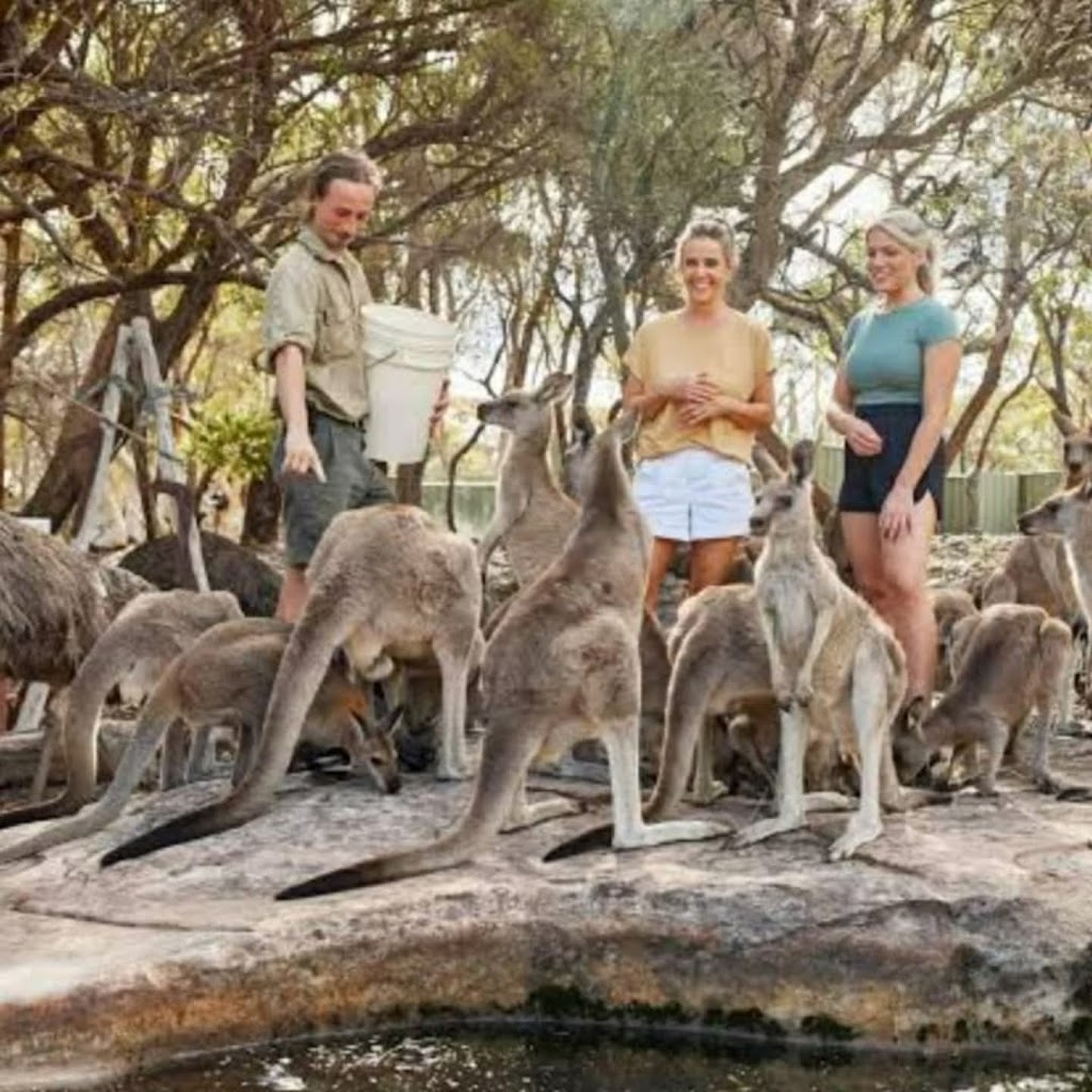 Jake Cassar Bushcraft | 1 Darkinjung Rd, Calga NSW 2250, Australia | Phone: 0405 424 124