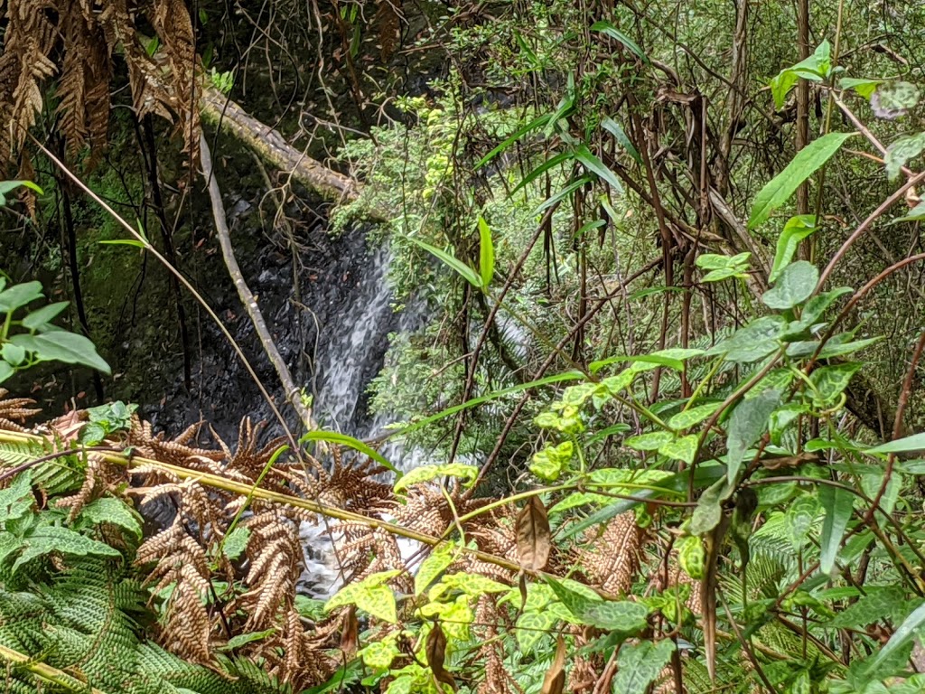 Hogarth Falls Car Park | Unnamed Road, Strahan TAS 7468, Australia | Phone: (03) 6472 6800