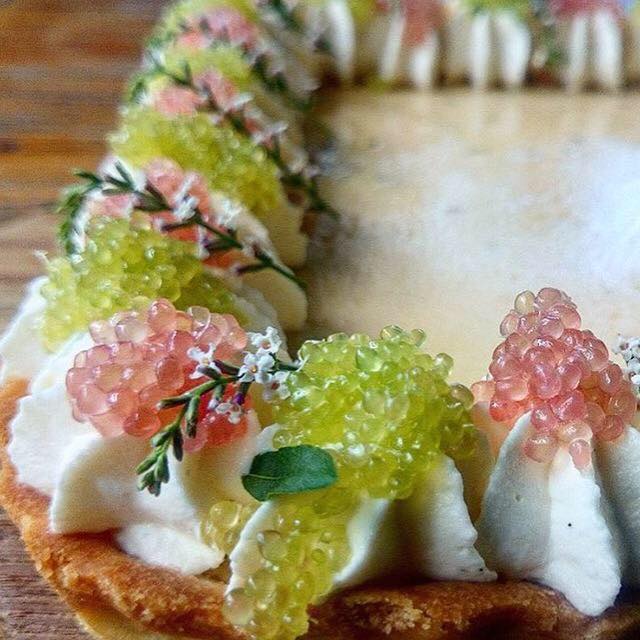 The Lime Caviar Company Pty Ltd | store | 542 Philp Mountain Rd, Running Creek QLD 4287, Australia | 0417373073 OR +61 417 373 073