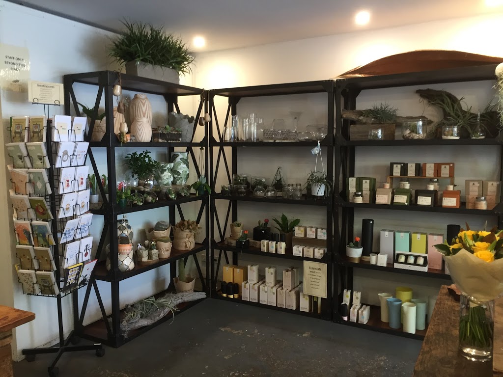 Elwood Flowers | 99 Ormond Rd, Elwood VIC 3184, Australia | Phone: (03) 9531 3639