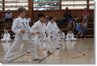 Pacific International Taekwondo Brisbane | Dakabin State School, 75 Sheaves Rd, Kallangur QLD 4503, Australia | Phone: (07) 3889 9551