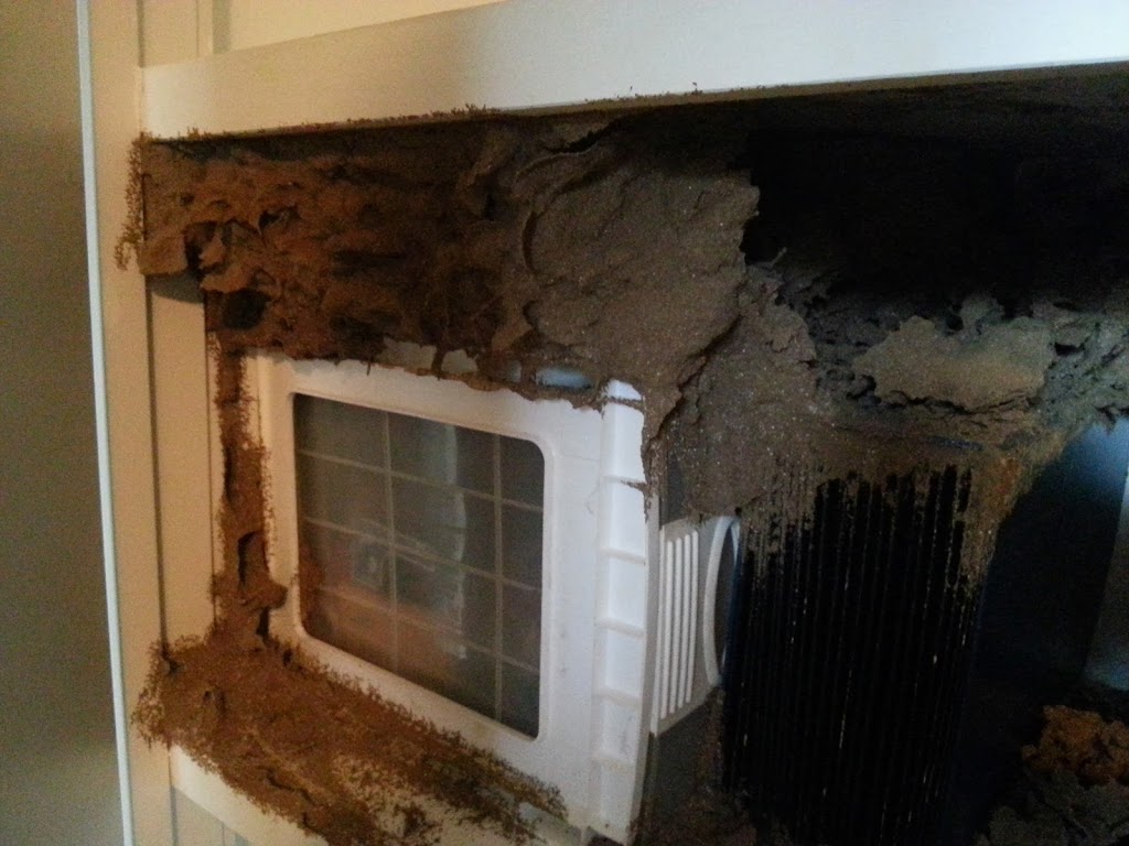 Premium Pest Control PTY LTD | 335 Fourteen Mile Rd, Garfield VIC 3810, Australia | Phone: 0401 284 889