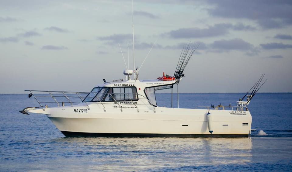 Fish On Fishing Charters Mornington Peninsula and Portland | 31 Thurloo Dr, Safety Beach VIC 3936, Australia | Phone: 0473 062 772