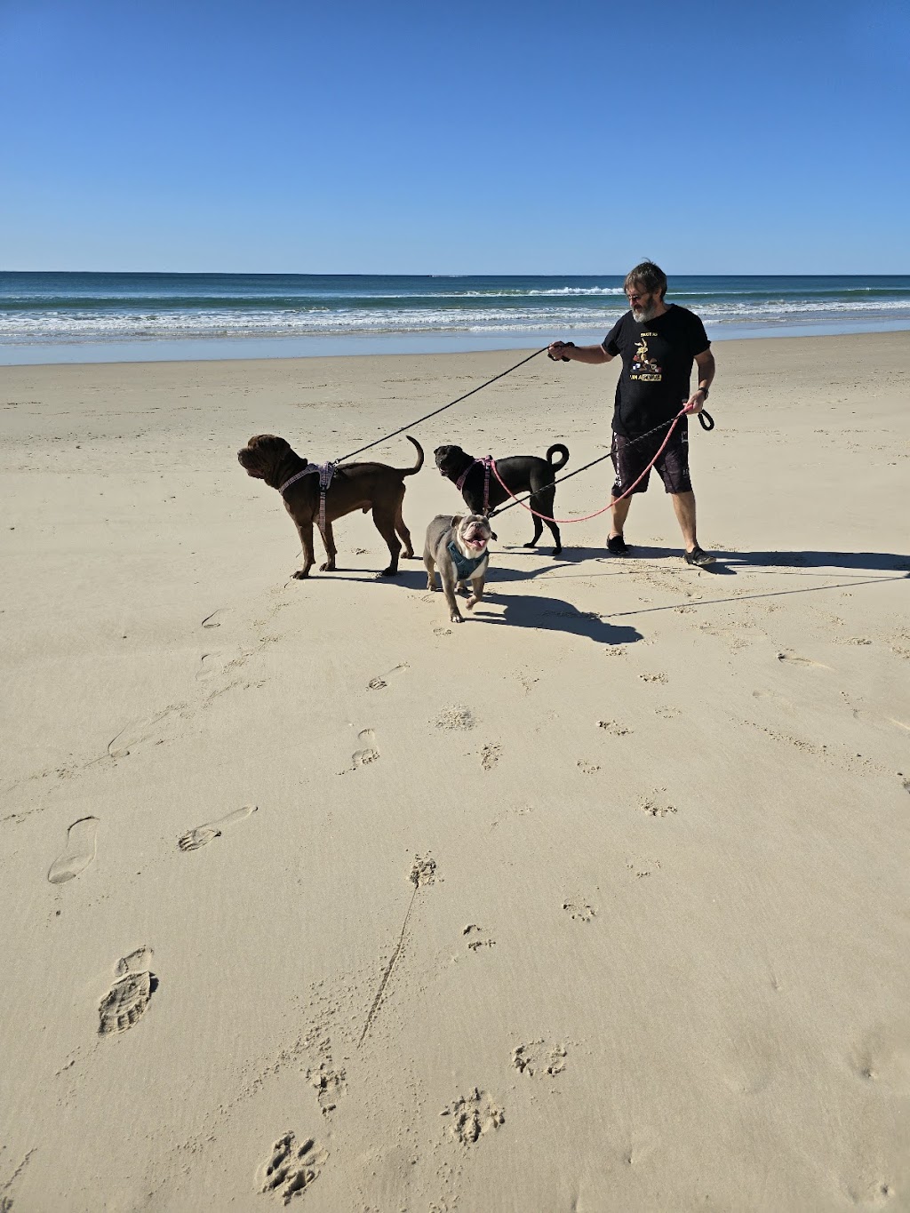 Buckskin Jodhpurs Australia | 31 Summer St, Laidley QLD 4341, Australia | Phone: 1800 802 362