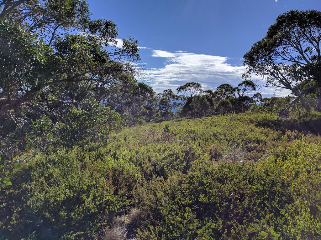 Wheelers Hut | lodging | Wheelers Hut Trail, Jagungal Wilderness NSW 2642, Australia