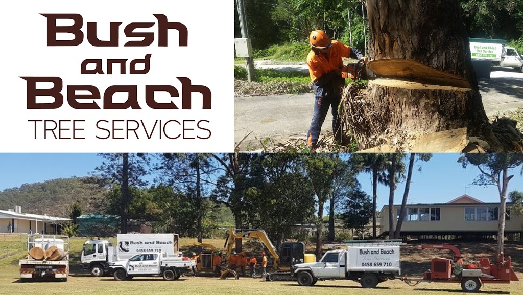 Bush and Beach Tree Services - Sunshine Coast |  | 715 Kandanga Imbil Rd, Imbil QLD 4570, Australia | 0458659710 OR +61 458 659 710
