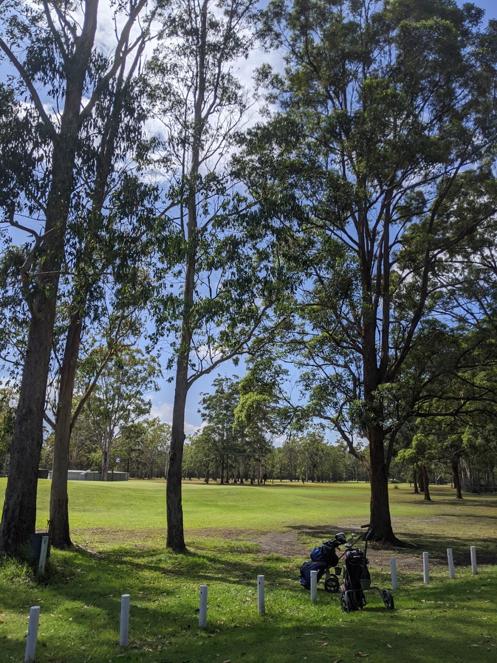 WOODBURN-EVANS HEAD GOLF CLUB |  | 45 Golf Links Rd, Woodburn NSW 2472, Australia | 0266822385 OR +61 2 6682 2385