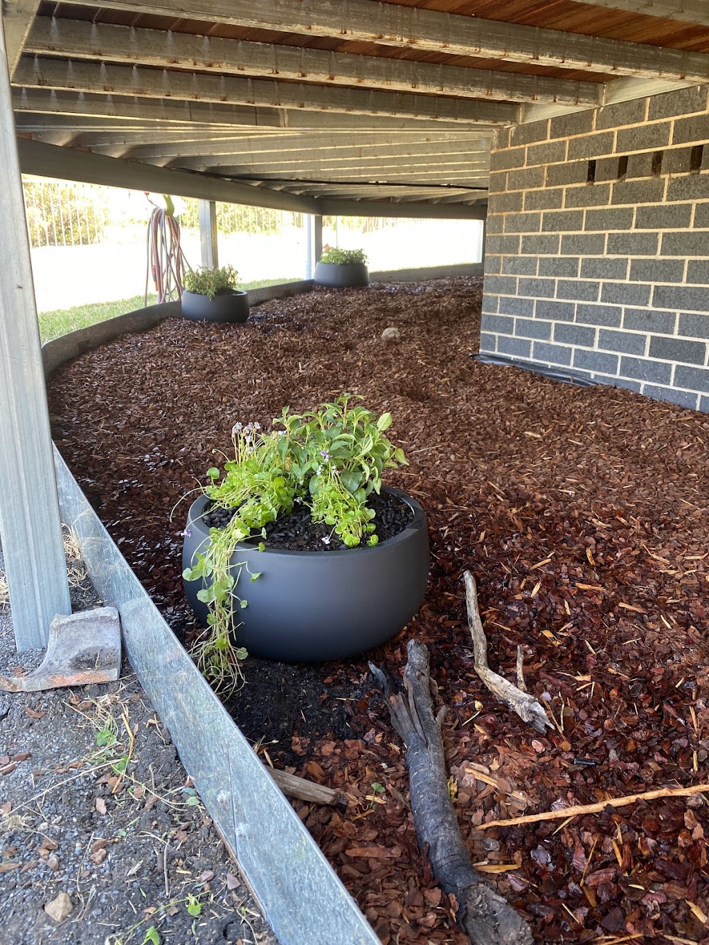 PLM gardening | 15 Short St, Glen Innes NSW 2370, Australia | Phone: 0481 170 462