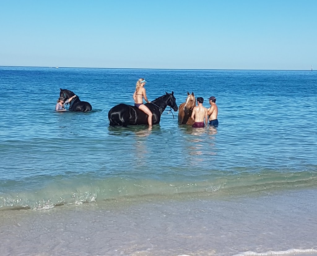 Animal Exercise Beach | 140 Whitfords Ave, Hillarys WA 6025, Australia
