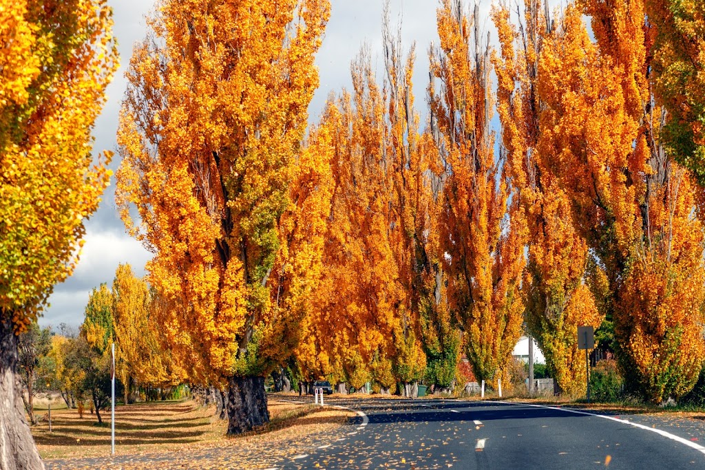 Sip The Snowies | Kosciuszko Rd, Jindabyne NSW 2627, Australia | Phone: 0407 105 655