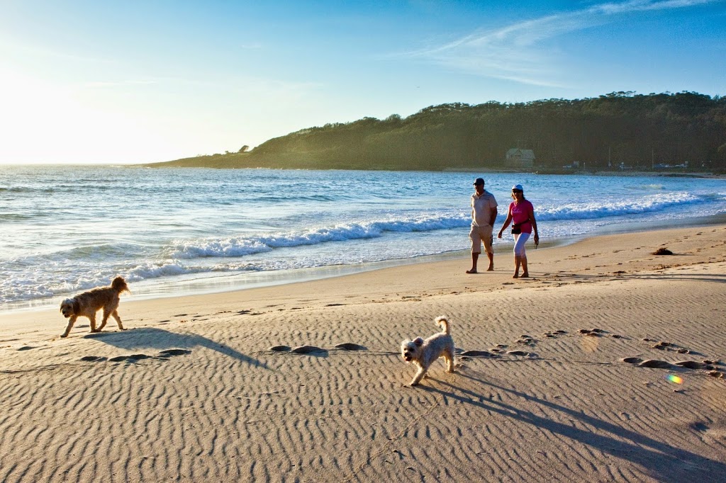 Kioloa Beach Holiday Park | rv park | 635 Murramarang Rd, Kioloa NSW 2539, Australia | 0244571072 OR +61 2 4457 1072