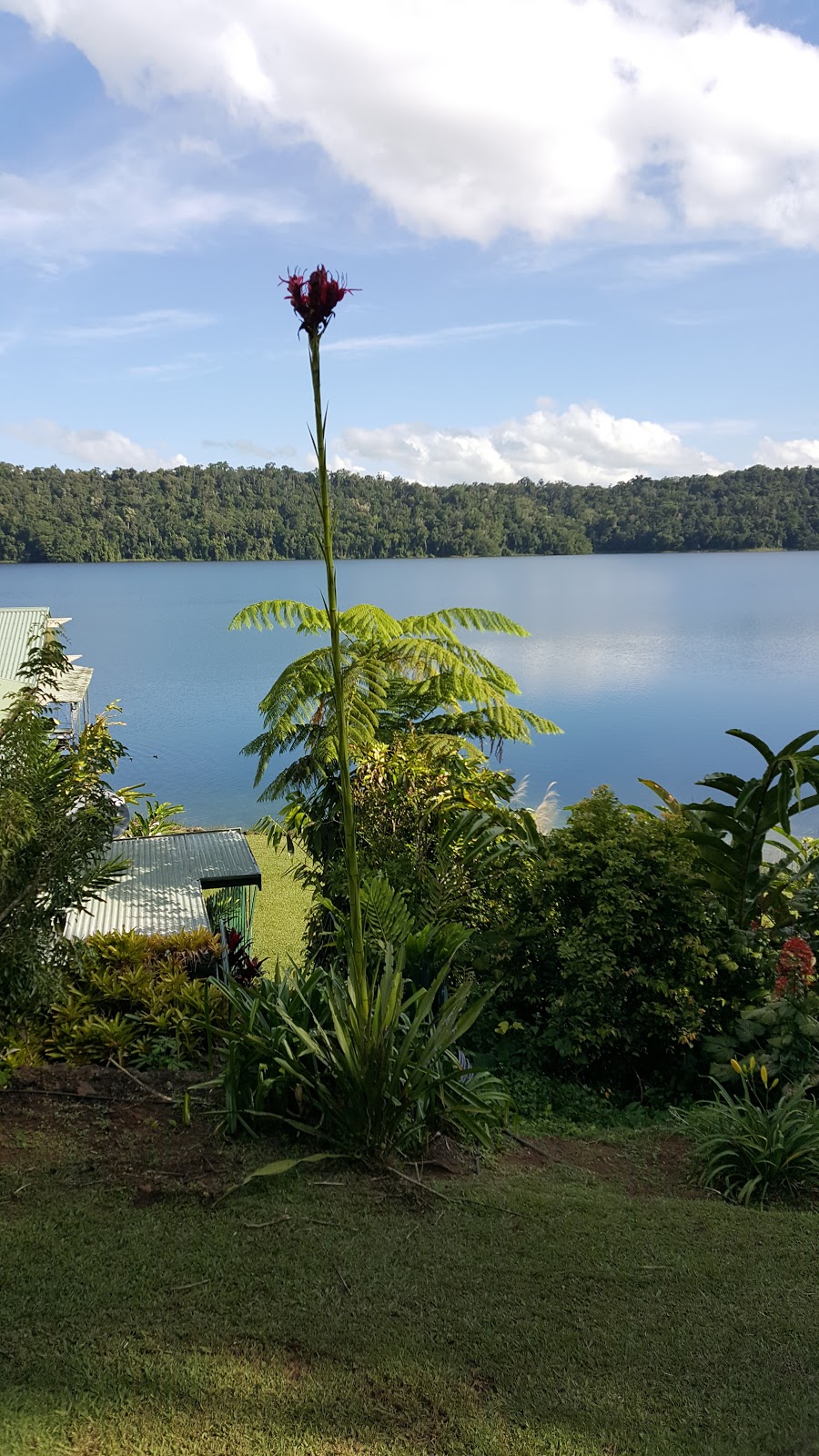 Crater Lakes National Park | park | Lake Eacham QLD 4884, Australia