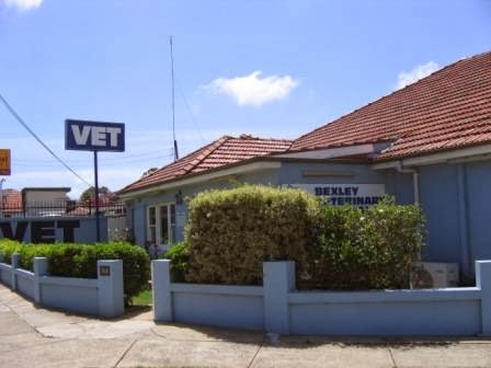 Bexley Veterinary Hospital | 568 Forest Rd, Bexley NSW 2207, Australia | Phone: (02) 9150 8387