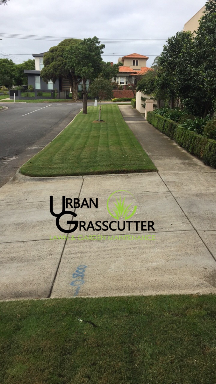 Urban Grasscutter | 14 Bardsley Ct, Narre Warren VIC 3804, Australia | Phone: 0431 517 801