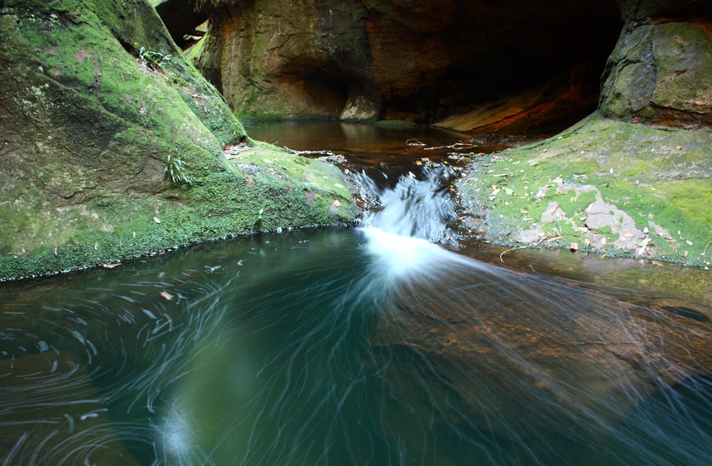 Watagans National Park | Mount Faulk Rd, Cooranbong NSW 2265, Australia | Phone: (02) 4972 9000