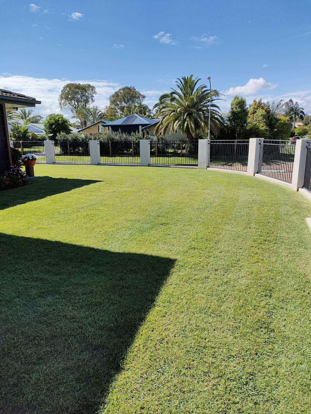 Golden Cane lawns | 9 Rosella St, Wellington Point QLD 4160, Australia | Phone: 0415 190 092