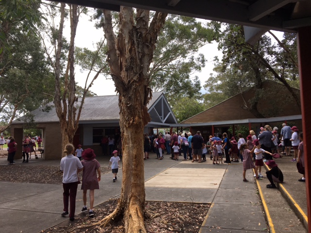 Shoal Bay Public School | school | 61 Rigney St, Shoal Bay NSW 2315, Australia | 0249811007 OR +61 2 4981 1007