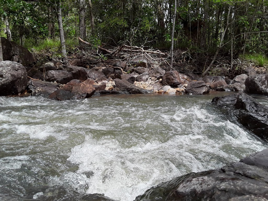 Cedar Creek Falls | park | Cedar Creek QLD 4800, Australia | 0749453967 OR +61 7 4945 3967