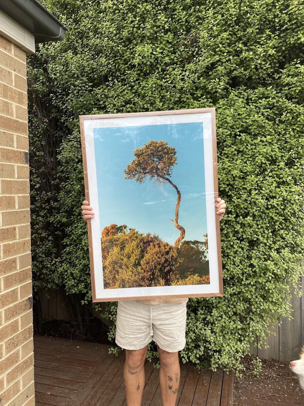 Surf Coast Prints | Presidents Ave, Ocean Grove VIC 3226, Australia | Phone: 0403 886 413
