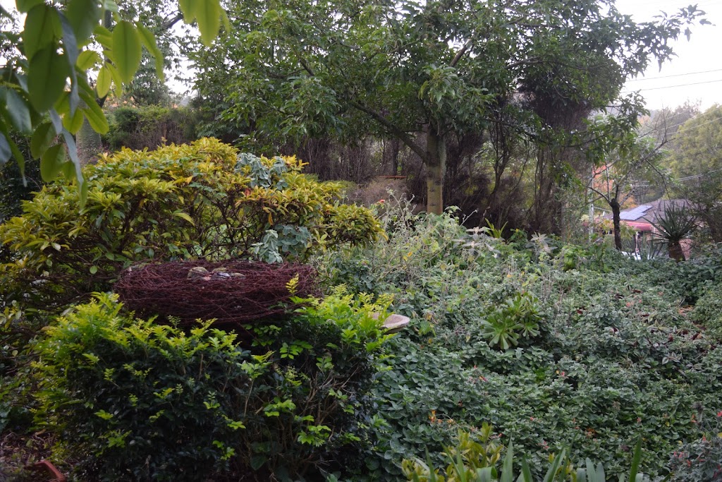 The Rustic Nest Yarramalong | 1614 Yarramalong Rd, Yarramalong NSW 2259, Australia | Phone: (02) 4356 1066