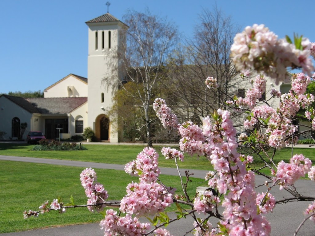 Community of The Holy Name | health | 40 Cavanagh St, Cheltenham VIC 3192, Australia | 0395832087 OR +61 3 9583 2087