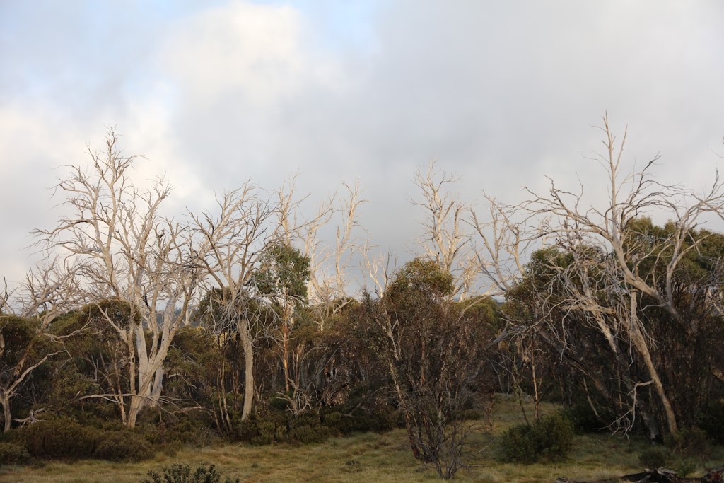 Snowy Vale | lodging | Snowy Plain NSW 2628, Australia