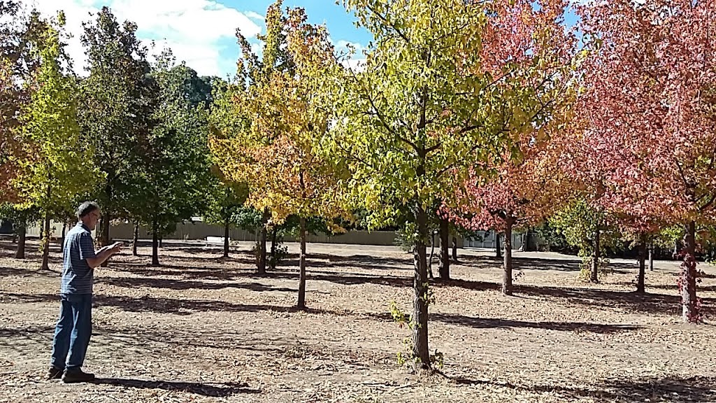 Valley of Liquidambers | park | Heathcote VIC 3523, Australia