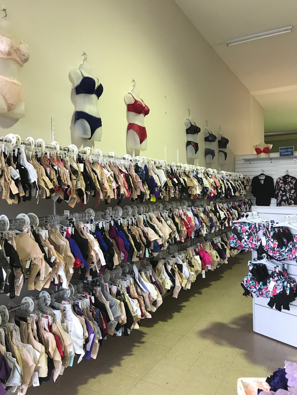 Bras in Paradise | clothing store | 4b/250 Olsen Ave, Parkwood QLD 4214, Australia | 0755632411 OR +61 7 5563 2411