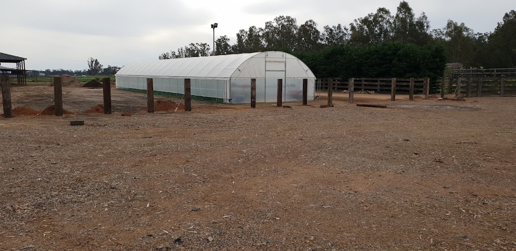 S & J COMPACT DIGGING | 63 Riverview Dr, Kialla VIC 3631, Australia | Phone: 0419 241 193