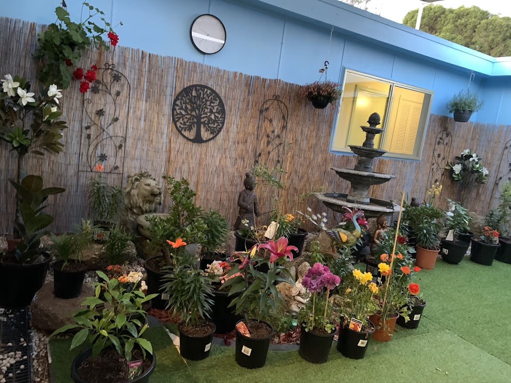 Angels Oriental Massage Echuca | 36 Francis St, Echuca VIC 3564, Australia | Phone: 0437 211 614