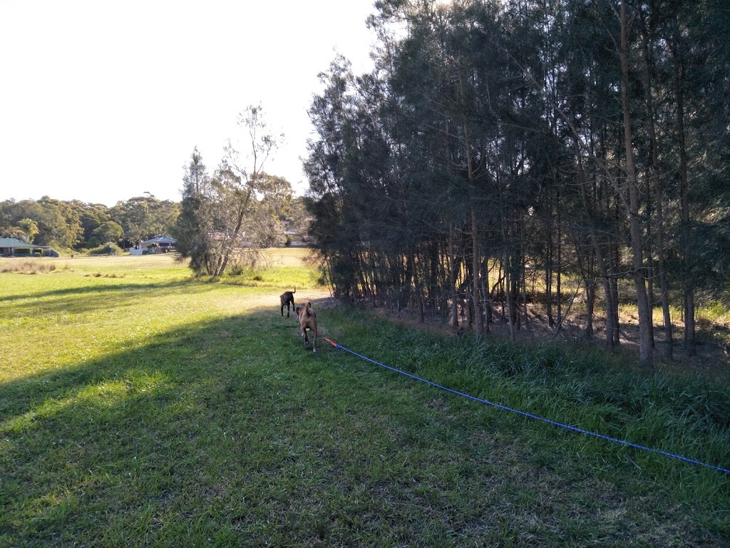 Carey Bay Dog Exercise Area | park | 68 Excelsior Parade, Carey Bay NSW 2283, Australia