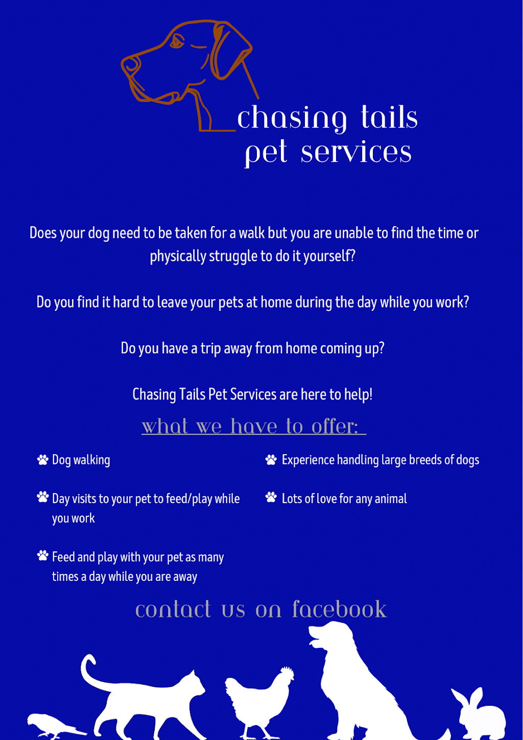 Chasing Tails Pet Services | 275 Roberts Creek Rd, Blaxlands Ridge NSW 2758, Australia | Phone: 0416 377 811
