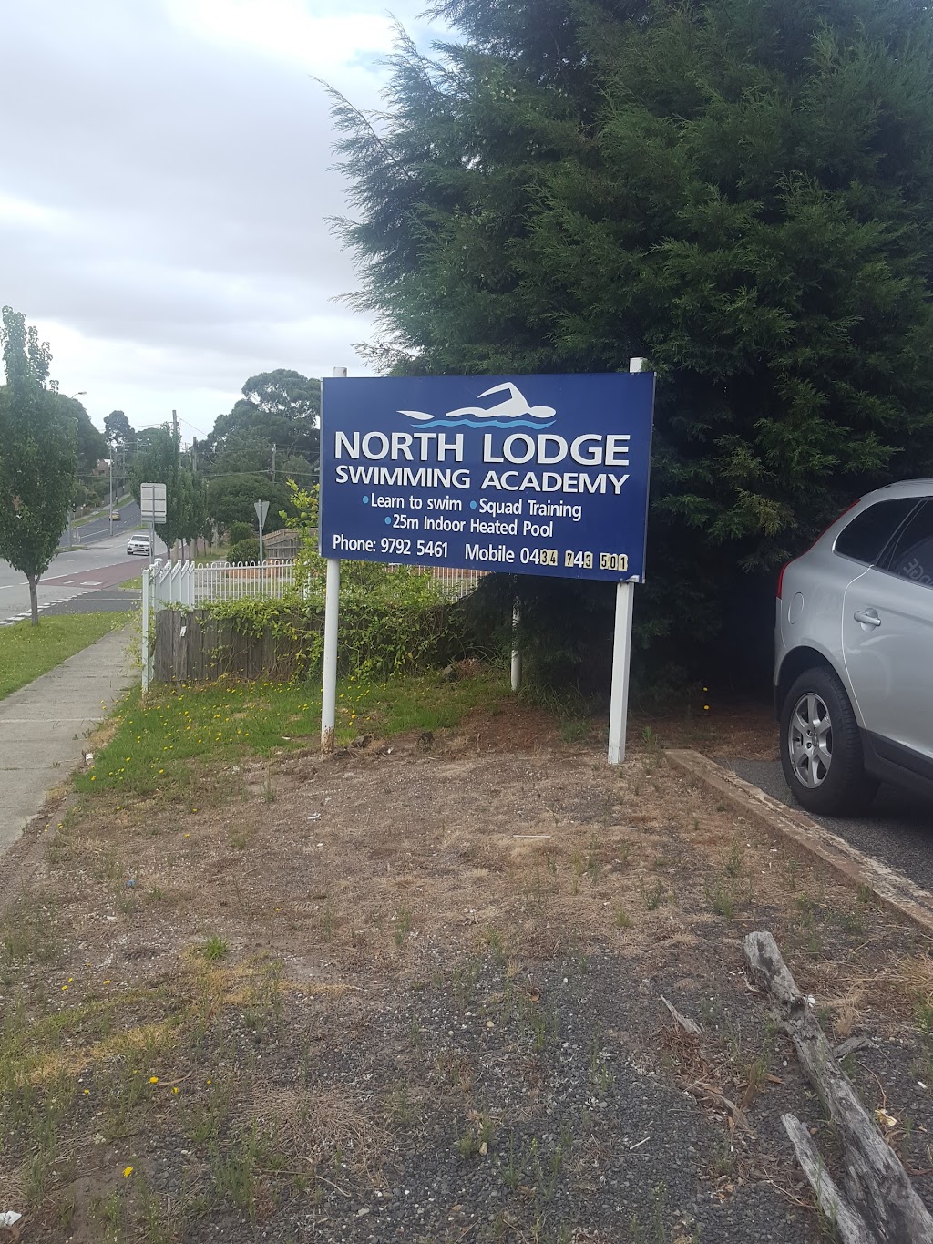 North Lodge Swimming Acadamy | 137 Stud Rd, Dandenong VIC 3175, Australia | Phone: (03) 9792 5461