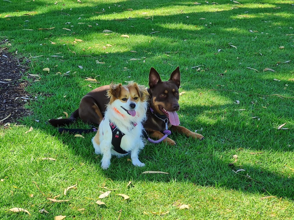 The Walking Dog Trainer | Madora Bay Road, Madora Bay WA 6210, Australia | Phone: 0422 554 453