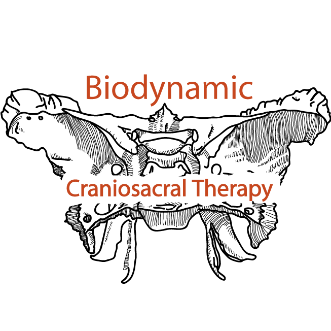 Biodynamic Craniosacral Therapy | health | 4 Gary Ct, Croydon VIC 3136, Australia | 0401133355 OR +61 401 133 355