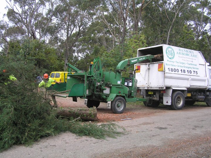 Banksia Arborcare | 4 Manning St, North Balgowlah NSW 2093, Australia | Phone: 0412 181 075