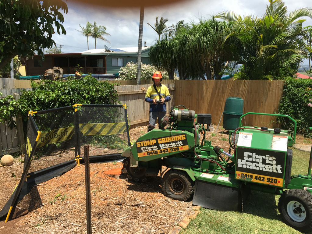 Chris Hackett Tree Services | 17 Bentinck St, Ballina NSW 2478, Australia | Phone: (02) 6686 0599