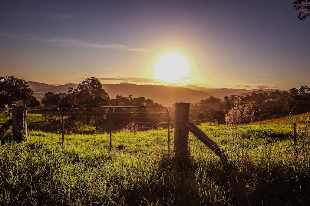 Wells Beef Shorthorn Stud | 132 Clarkes Rd, Greendale NSW 1116, Australia | Phone: 0408 022 225