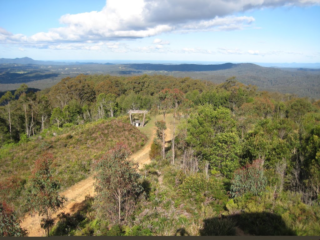 Tapin Tops National Park | park | Dingo Forest NSW 2429, Australia