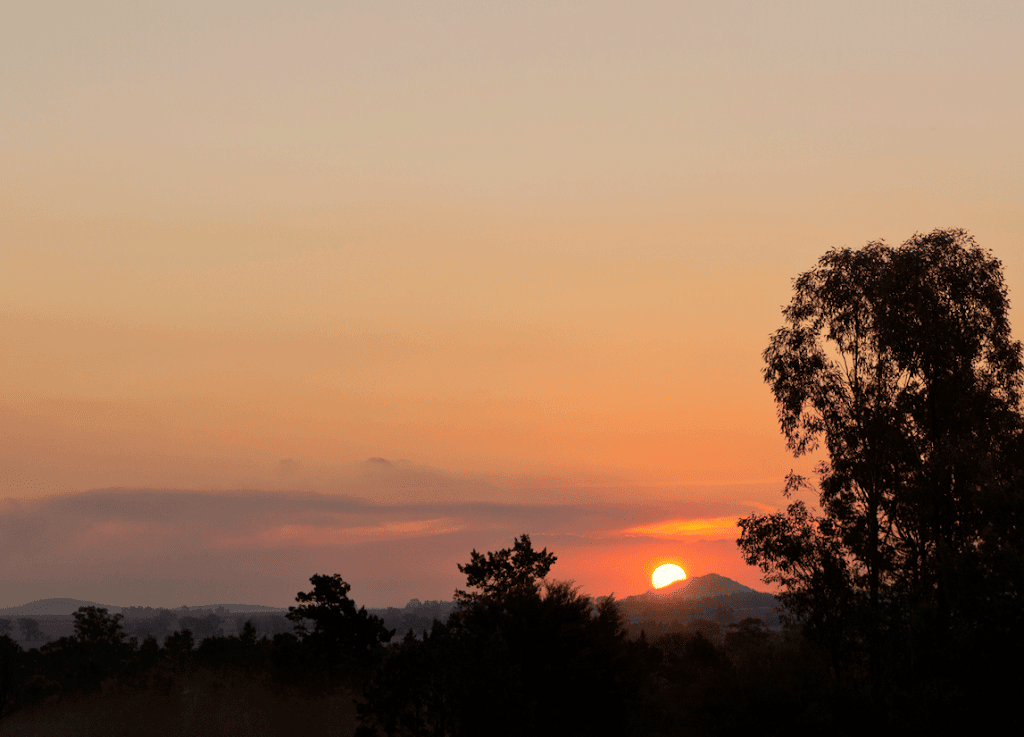 Sylvaterre Native Nursery | 1126 Sylvaterre-Timms Lake Rd, Sylvaterre VIC 3575, Australia | Phone: 0455 140 421