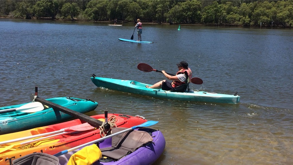 Byron Bay Eco Cruises and Kayaks | Boat Harbour, 1 Old Pacific Highway, Brunswick Heads NSW 2483, Australia | Phone: 0410 016 926
