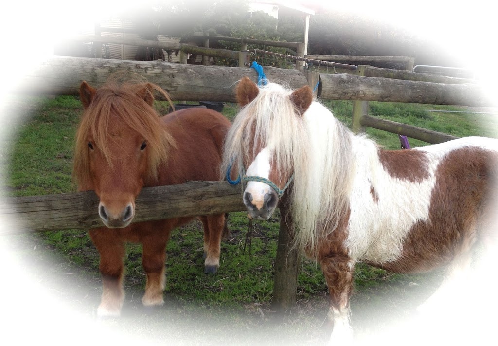 Melbournes Pony Parties and Forest Rides | Broadford Rd, Flowerdale VIC 3717, Australia | Phone: 0417 330 948