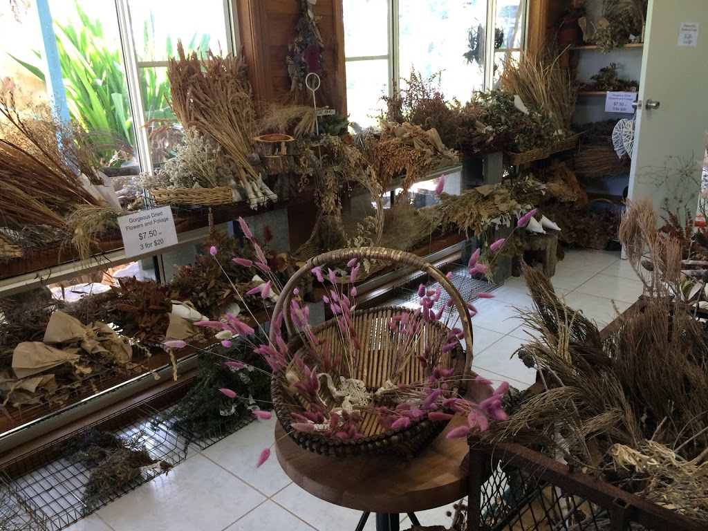 Coachwood Nursery & Dried Flowers From Australia | florist | 900 Wisemans Ferry Rd, Somersby NSW 2250, Australia | 0491147448 OR +61 491 147 448