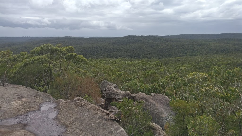 Royal National Forest Lookout | park | Karloo Pools Walking Track E, Royal National Park NSW 2233, Australia