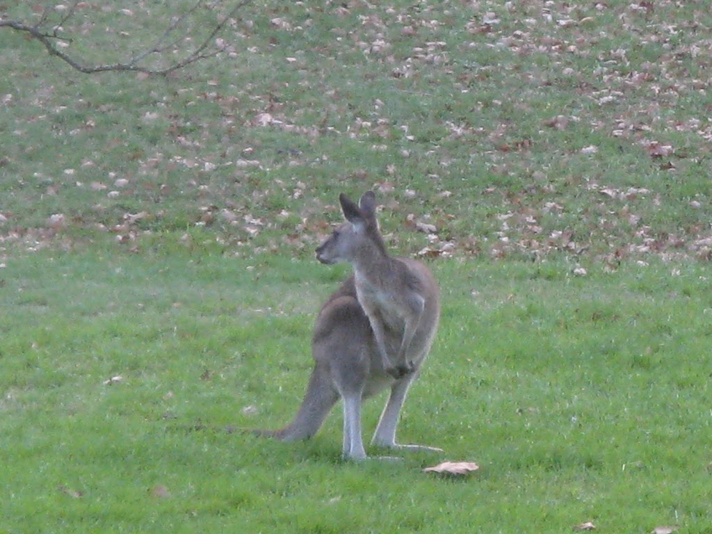 Crystal Brook Picnic Area | Cardinia Reservoir Access Rd, Emerald VIC 3782, Australia | Phone: (03) 8427 2002