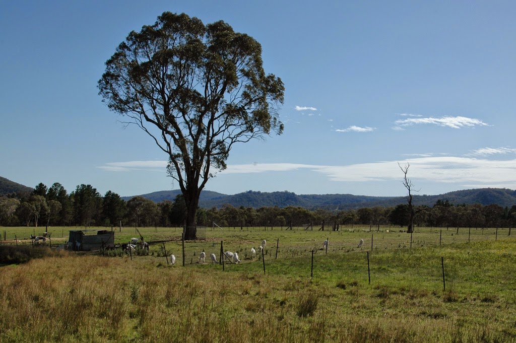 Jannei Goat Dairy | store | 11 View St, Lidsdale NSW 2790, Australia | 0263551107 OR +61 2 6355 1107