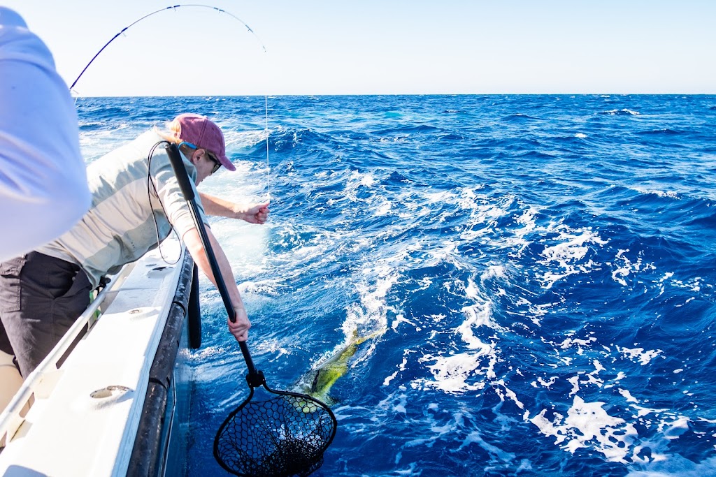 Sealord Fishing Charters | Sans Souci Park, Sans Souci NSW 2219, Australia | Phone: 0408 973 035