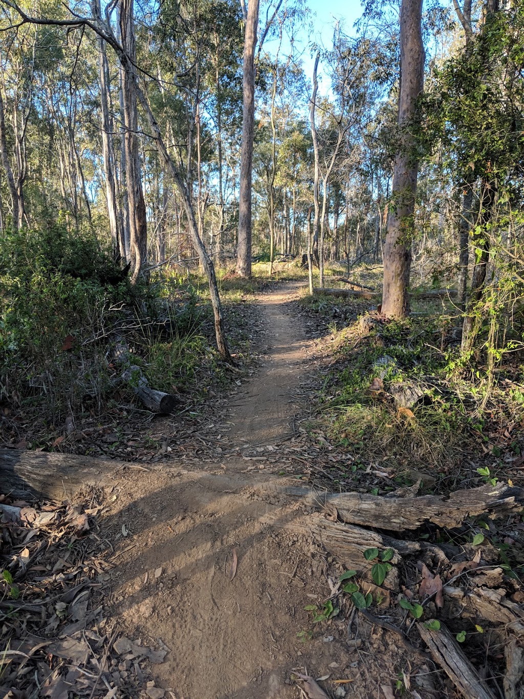 Victory Heights Trail parkrun | health | Bath Tce &, Barton Rd, Victory Heights QLD 4570, Australia