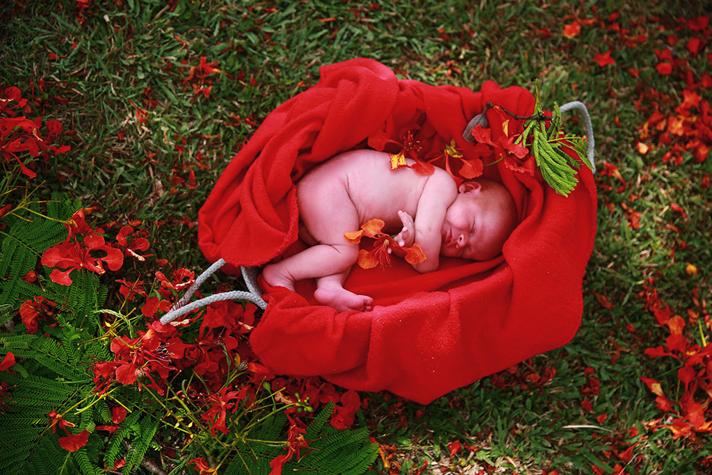 D. Milsom Photography | 256 Beacon Rd, Tamborine Mountain QLD 4272, Australia | Phone: 0411 537 109
